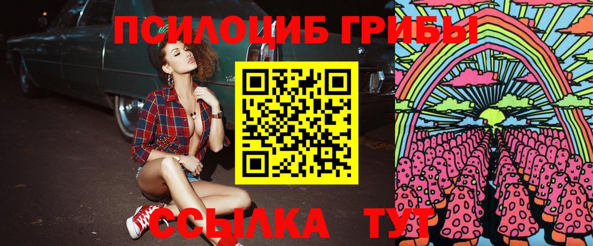 Псилоцибиновые грибы Cubensis  Вход с VPN  Псилоцибиновые грибы Cubensis  Щёкино 