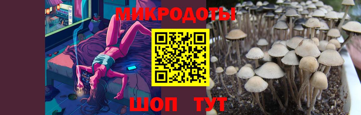 Псилоцибиновые грибы ЛСД Щёкино